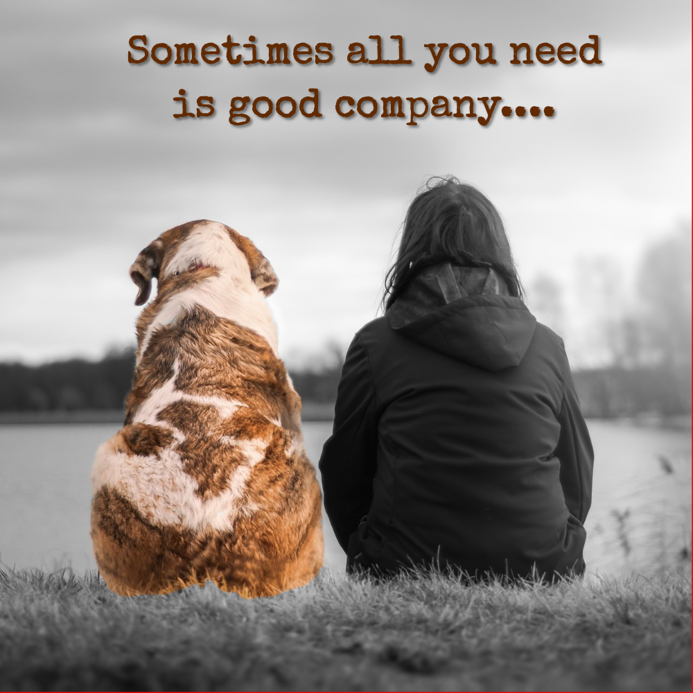 sometimes_all_you_need_is_good_company Quote Card